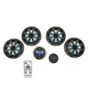 200W Weatherproof Gauge-Style Media Center Kicker®