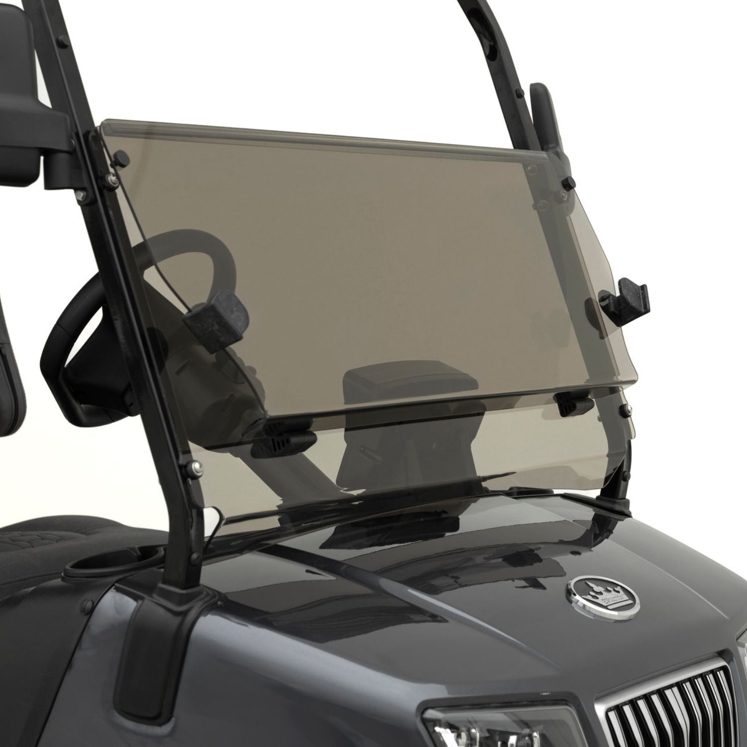 Allshields Evolution D5 Windshield - Tinted