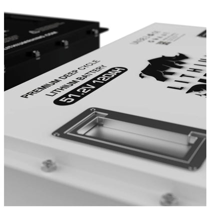 48V 120ah Lithium Conversion Kit- Self Heated