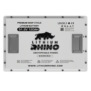 48V 120ah Lithium Conversion Kit