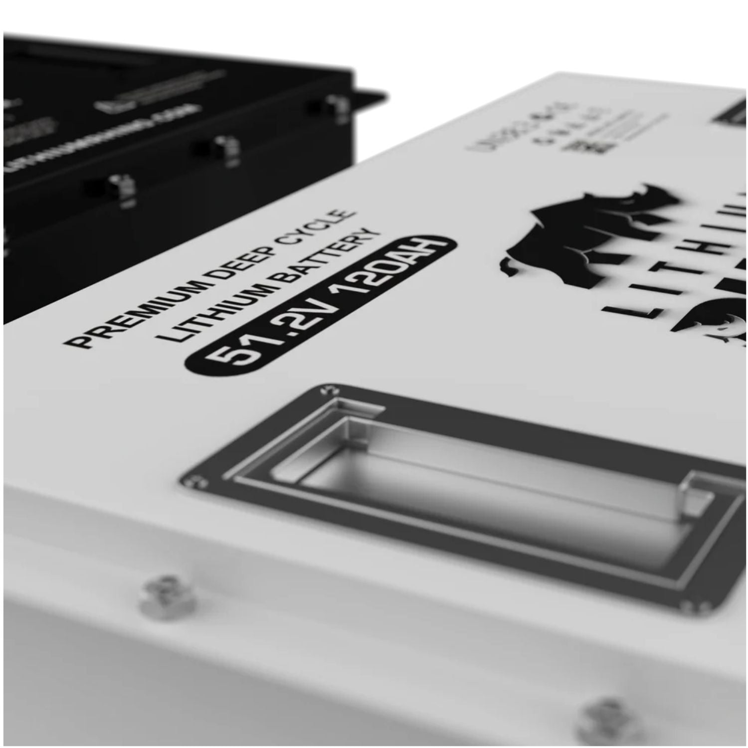 48V 120ah Lithium Conversion Kit