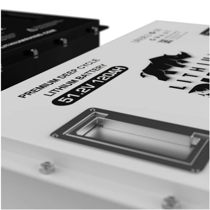 48V 120ah Lithium Conversion Kit