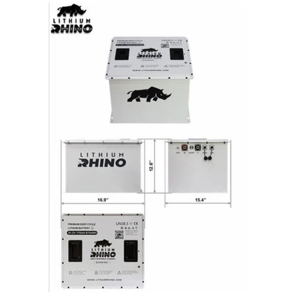 48V 170AH Lithium Rhino 300a BMS Conversion Kit