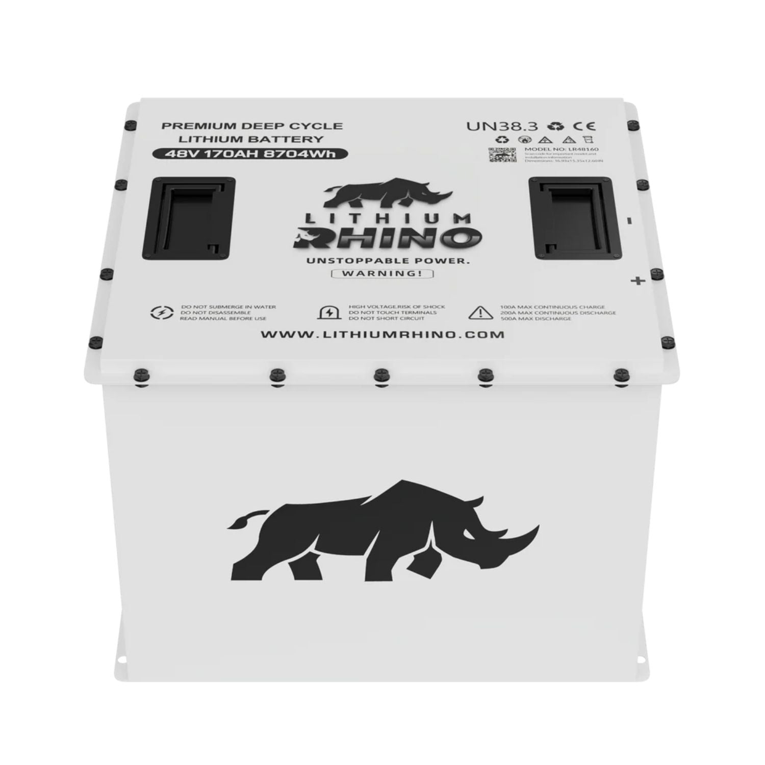 48V 170AH Lithium Rhino 300a BMS Conversion Kit
