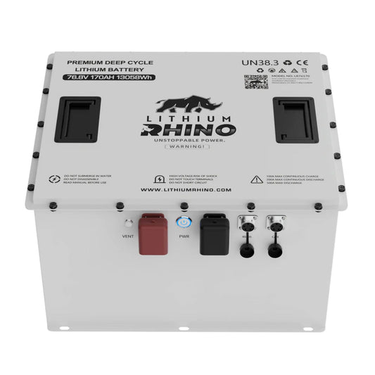 76V 170ah Lithium Conversion Kit- "Godzilla Battery"