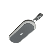 PPG A2 SLIM GPS Golf Speaker Powered by Golf Logix - Gray
