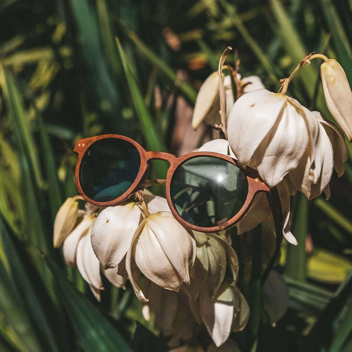 Stinson - Unisex Wooden Sunglasses