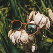 Stinson - Unisex Wooden Sunglasses