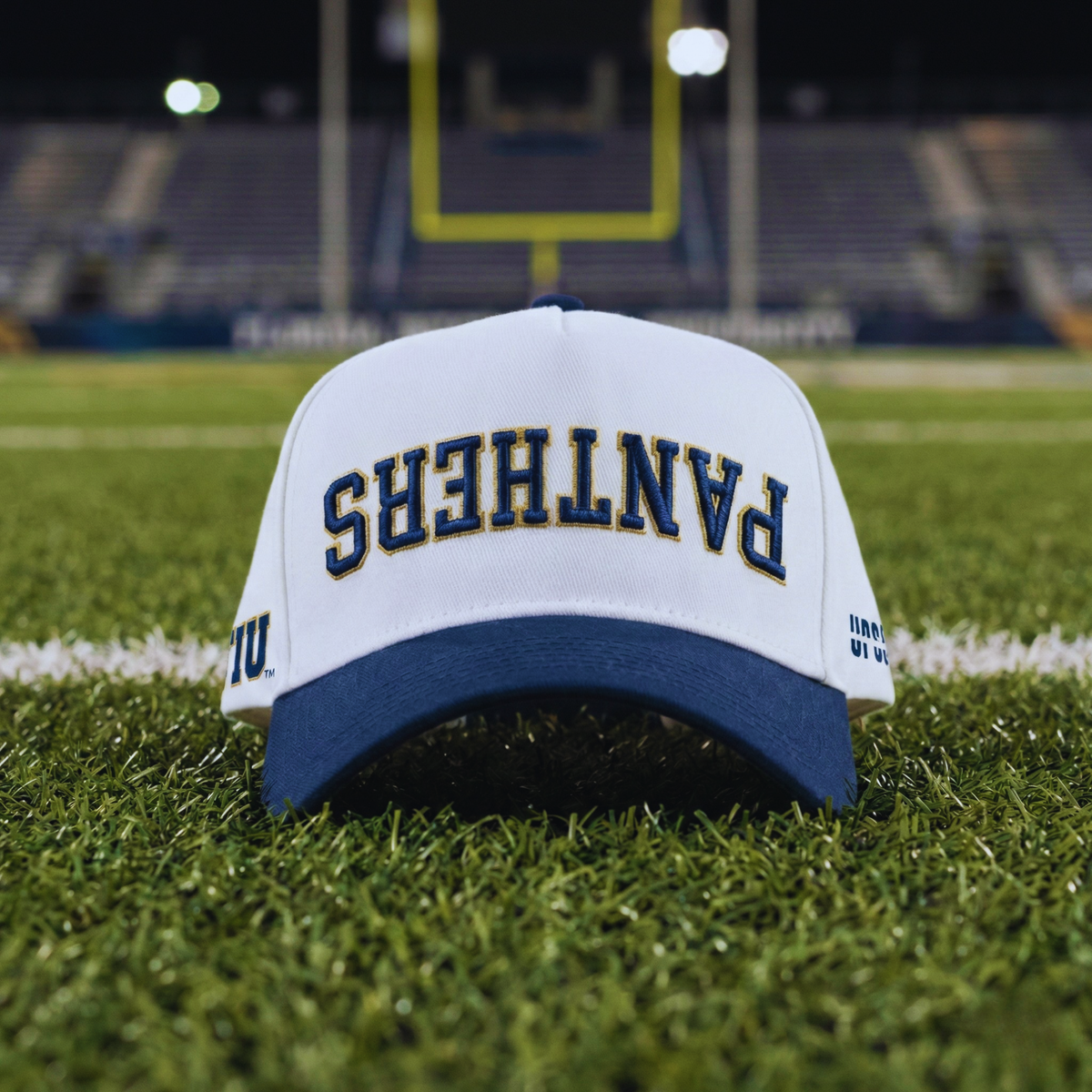 FIU Panthers Hat