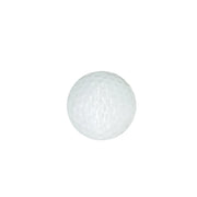 Glow in the Dark Golf Balls
