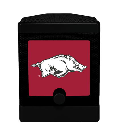 NCAA - Arkansas