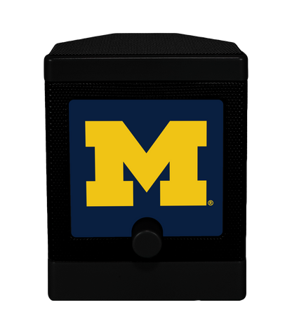 NCAA - Michigan