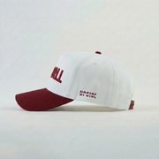 Troy Trojans Hat