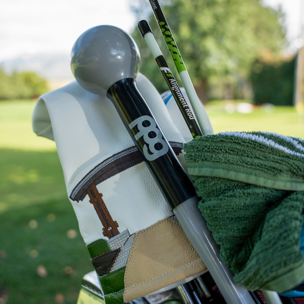 Tempo Training Warm Up Golf Club